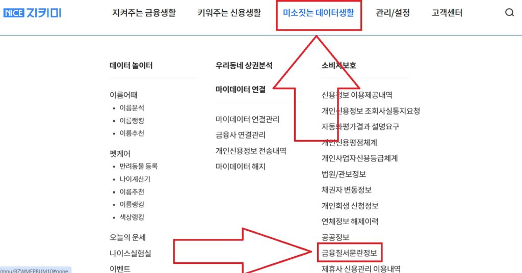 나이스지키미에서 금융질서문란자 확인하는 방법